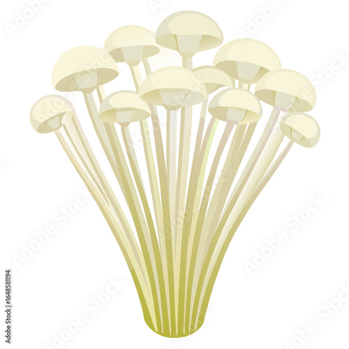 mushroom isolated on white