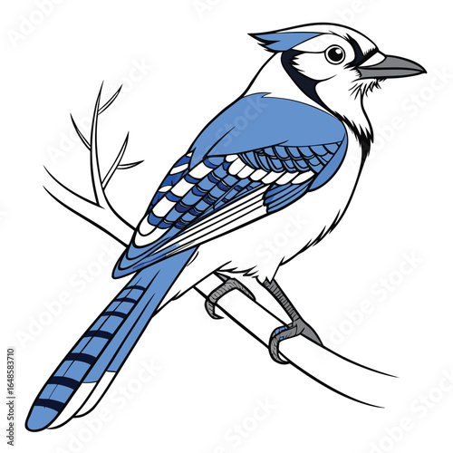 Jaybird White Background