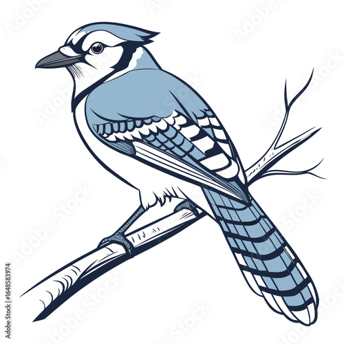Jaybird White Background