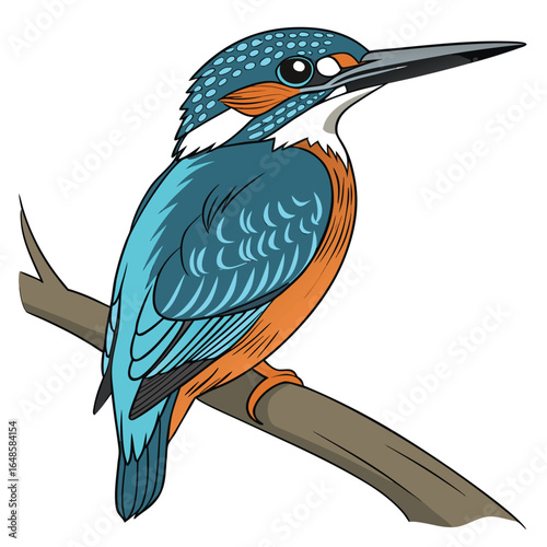 Kingfisher White Background