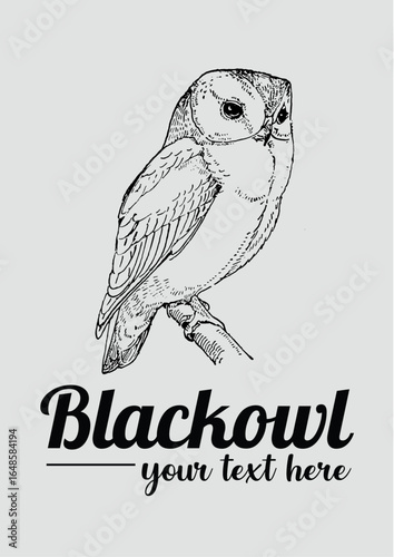 Black owl
