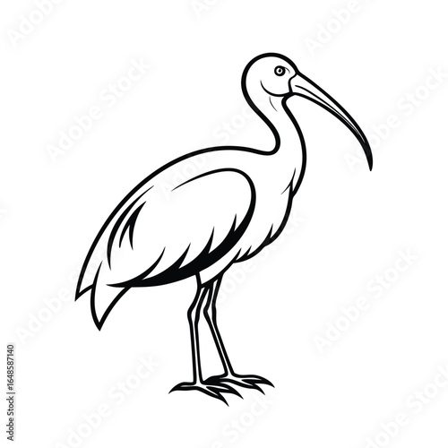 Elegant ibis bird with distinctive curved beak in a stylized line art design