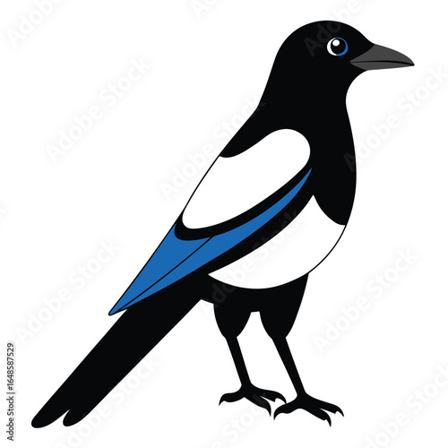 Magpie White Background