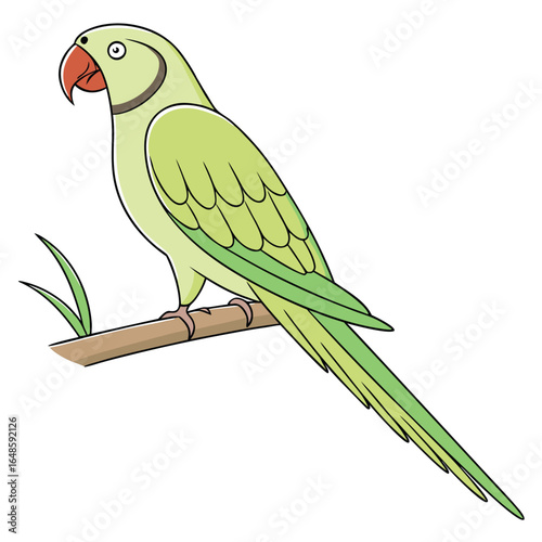 Parrot White Background
