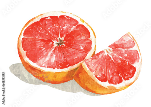 Watercolor Grapefruit Slice Illustration A Refreshing Citrus Delight Featuring a Half Grapefruit and a Slice in a Watercolor Style Painting on Transparent