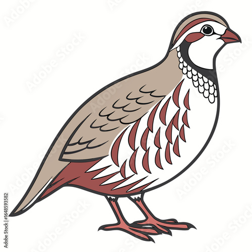 Partridge White Background