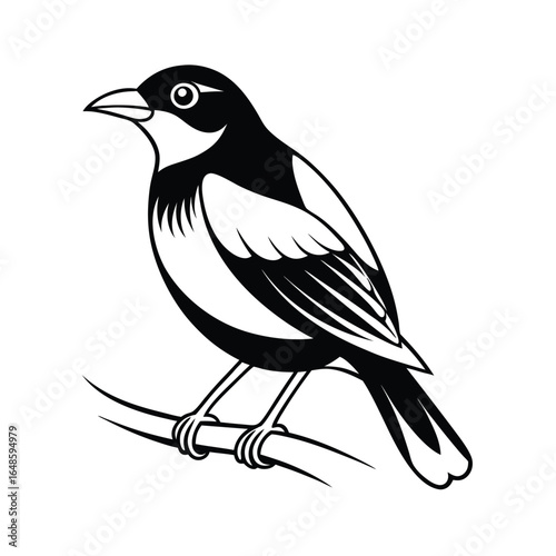Elegant line art illustration of a myna bird perched gracefully on a tree branch against a clean white background