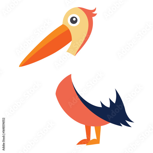 Pelican White Background