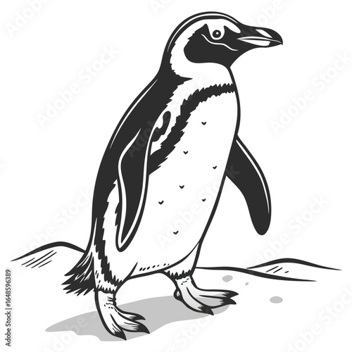 Penguin White Background