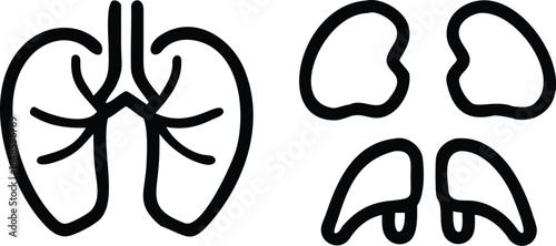 human heard icon set anatomy