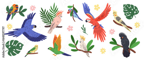 Exotic parrots and plants. Tropical leaves and flowers, bright plumage birds, flying and sitting pets, colored feathers, macaw, cockatoo and ara, botanical elements garish vector isolated set