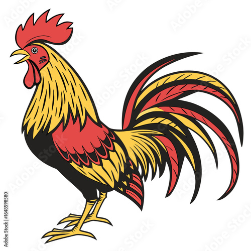 Rooster White Background