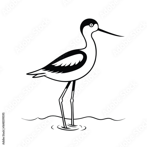 Elegant line art illustration of a pied avocet bird standing gracefully in calm water