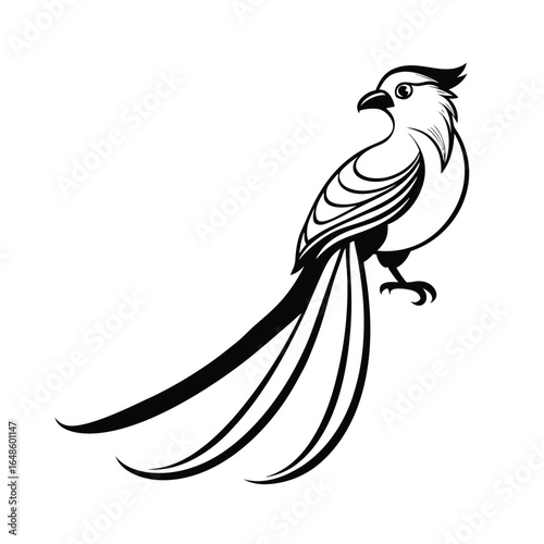 Elegant line art illustration of a quetzal bird with its distinctive long tail feathers in flight