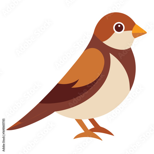 Sparrow White Background