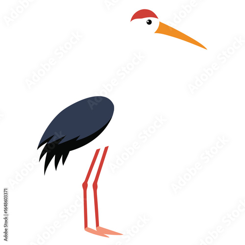 Stork White Background