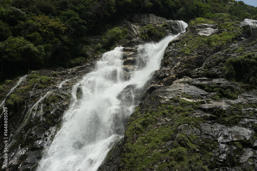 Naklejka premium waterfall in the mountains