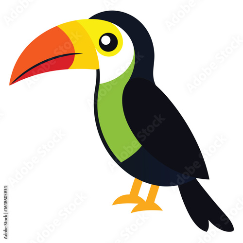 Toucan White Background
