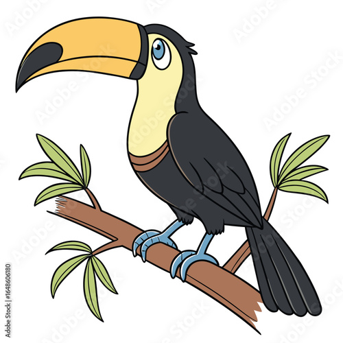 Toucan White Background