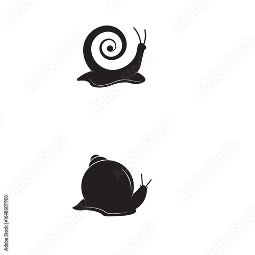 snail on a white background.