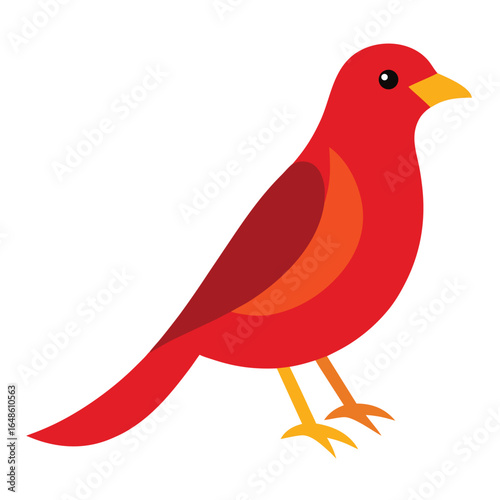 Weaverbird White Background
