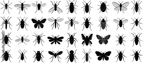 Collection of black insect silhouettes vector