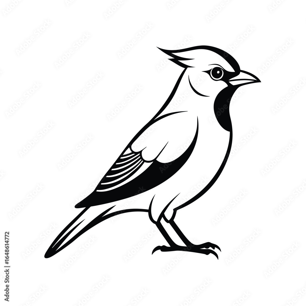 Fototapeta premium Elegant line art illustration of a waxwing bird standing gracefully on a clean white background