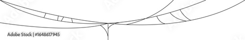 Halloween Spider Web Header