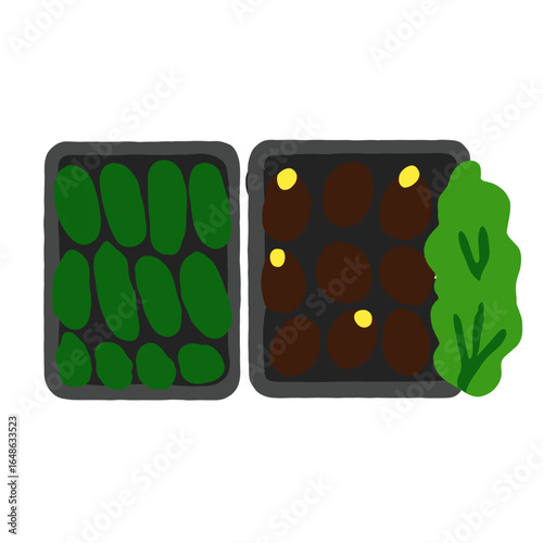 Flat illustration of vegetable seed trays, one filled with green seedlings and the other with soil and seeds, representing gardening and plant cultivation in a simple cartoon style.