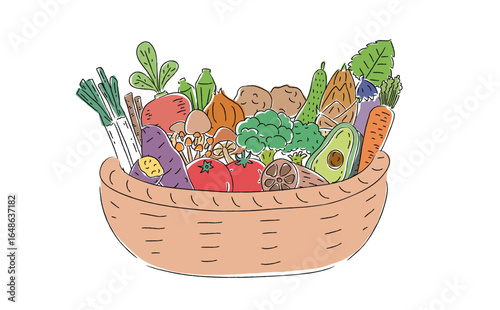 野菜の収穫セット