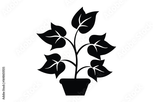 creeper plant vector icon