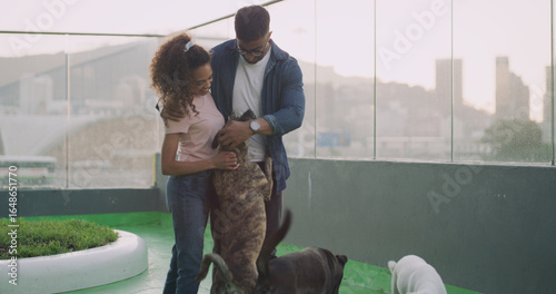 Photography Hug, couple and dogs at shelter for adoption, foster and choice for animal rescue with love