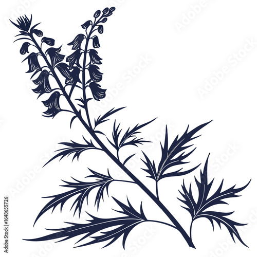 vector black silhouette of aconitum vulparia