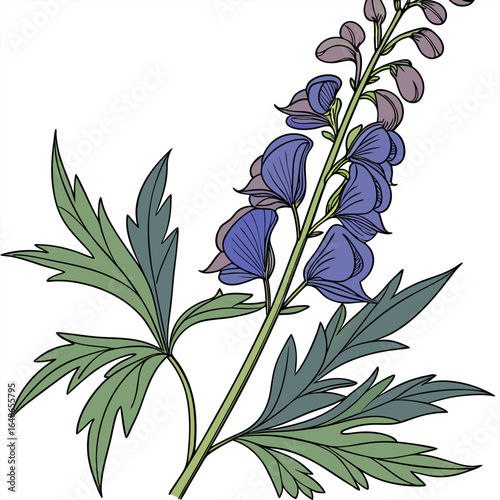 floral background with aconitum vulparia