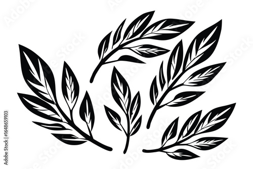 Black Leaves Pattern on White Background, Floral Design, Leafy Texture, Foliage