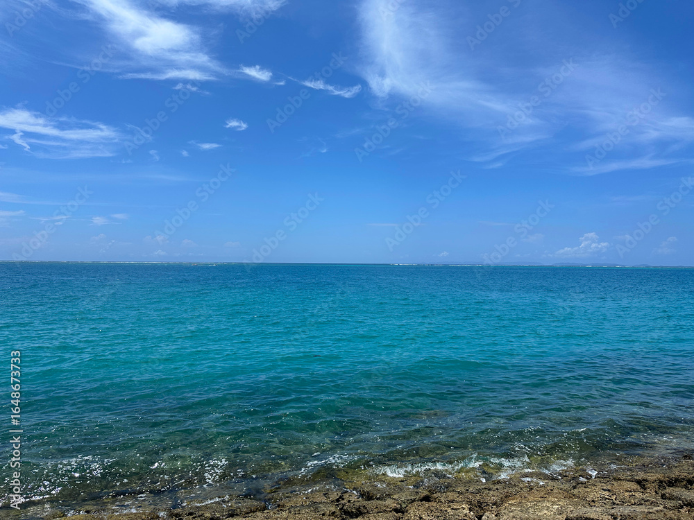 Clear Blue Ocean and Horizon under a Summer Sky Clear Blue Ocean and Horizon under a Summer Sky