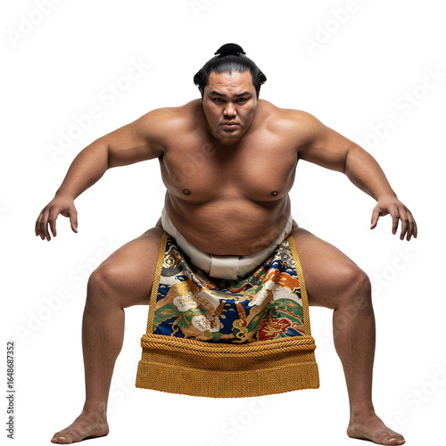sumo wrestler in shiko stance, traditional attire, isolated background