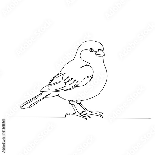 Minimal line art of small songbird in black and white outline