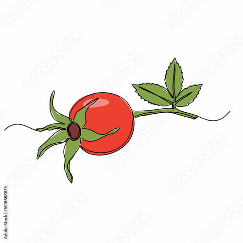 Wild rose hip with green leaves in single line art and red accents