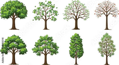 Collection of vector trees with green foliage, seasonal growth stages, willow and pine shapes for forest or nature illustrations