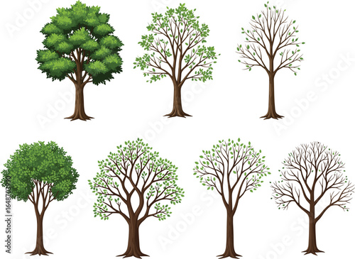 Illustration set of various trees showing different leaf densities and seasonal changes, from full green foliage to bare branches, nature, environment, botanical vector art