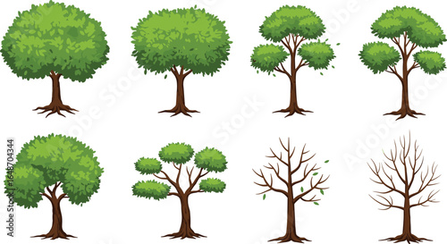Set of cartoon trees with green leafy and bare branches in various shapes, seasonal foliage vector illustration, nature and environment clipart collection