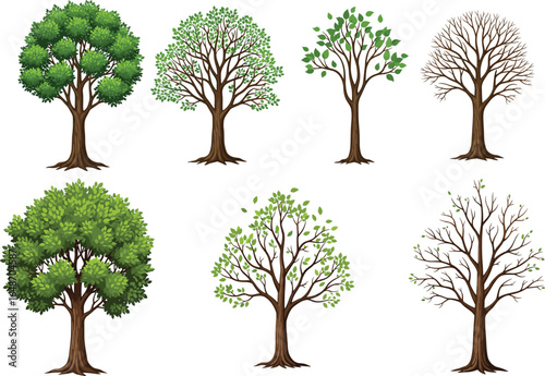 Set of tree illustrations showing different stages of leaf growth, seasonal changes, green foliage, bare branches, nature vector art, environmental concept, botanical design