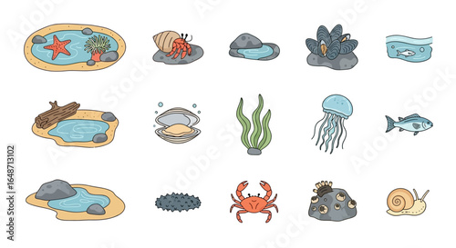 A colorful collection of hand-drawn sea life and tide pool creature illustrations, including crab, starfish, fish, and jellyfish.