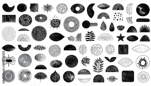 Black and White Textured Shapes: Abstract Botanical and Geometric Elements