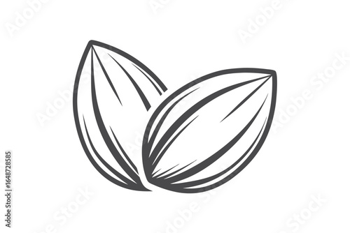 Outline Almonds Art Food Ingredient Healthy Snack Vegan on White Background
