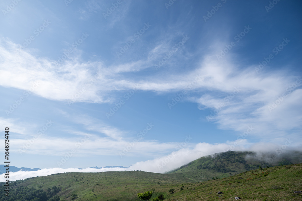 Fototapeta premium 爽やかな夏の高原 霧ヶ峰