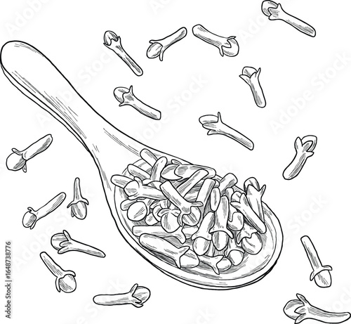 Bilde på lerret Clove on Spoon Line Sketch