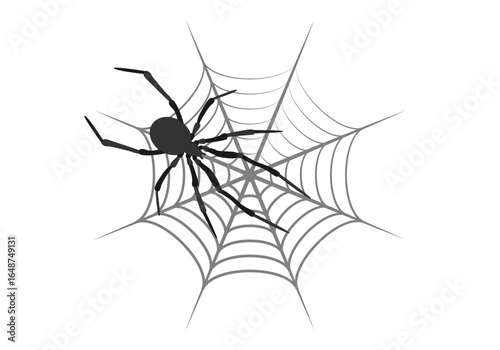 Silueta de araña en su tela de araña en fondo blanco