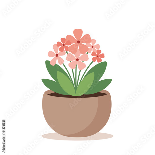 A delicate pink flowering plant in a simple brown pot with lush green leaves displayed against a white background